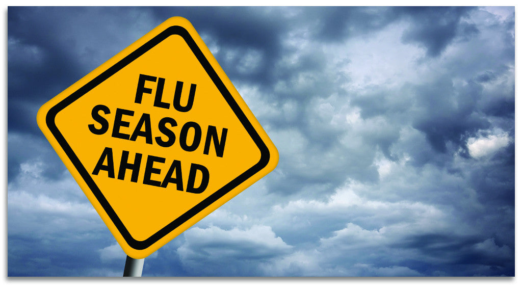 Flu Season