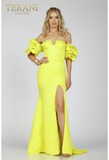 Terani Couture 231P0181