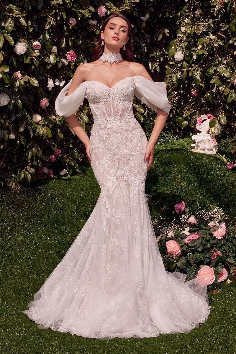 Andrea & Leo WL031