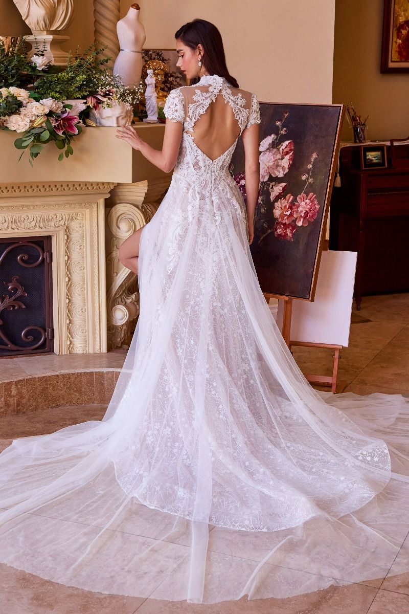 Andrea & Leo WL035