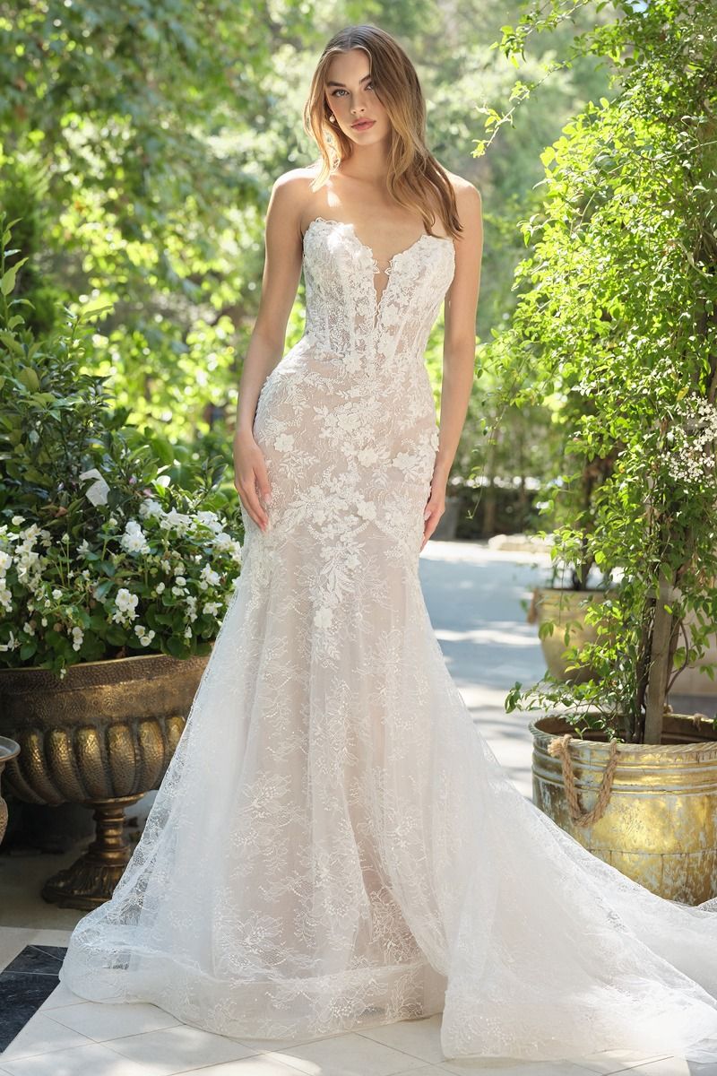 Andrea & Leo WL072
