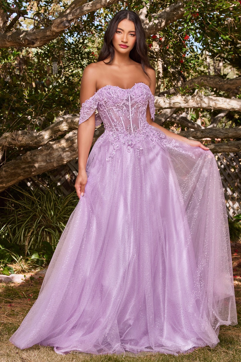 La 2025 princess dress