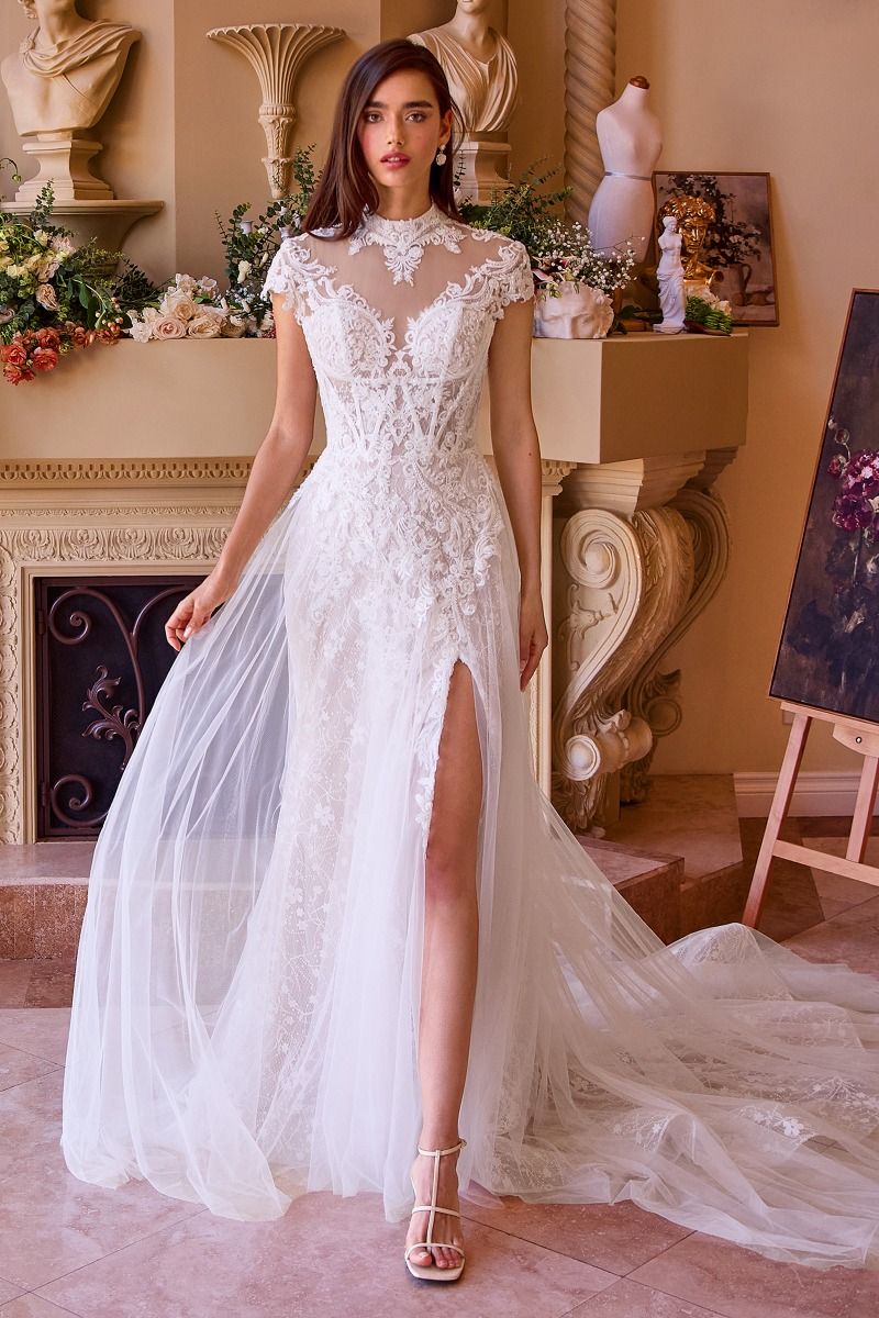 Andrea & Leo WL035