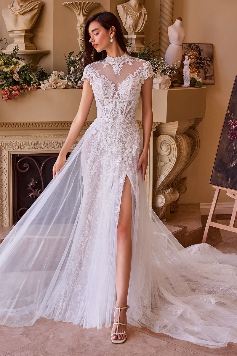 Andrea & Leo WL035