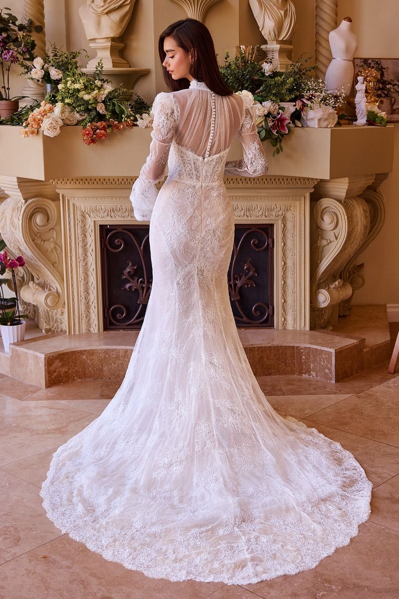 Andrea & Leo WL042
