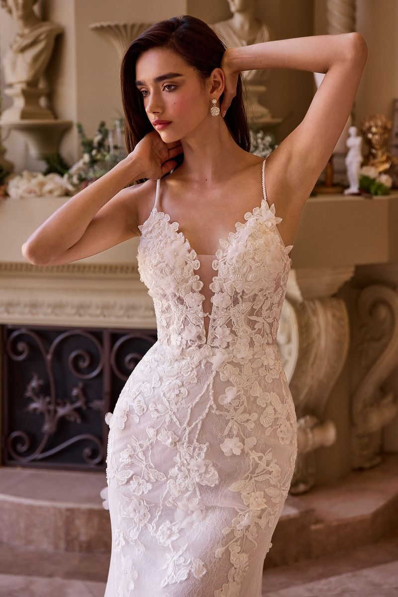 Andrea & Leo WL053