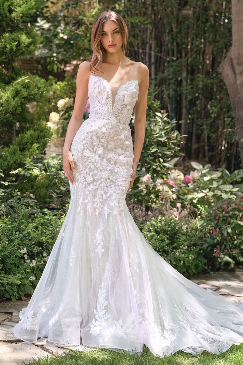 Andrea & Leo WL088